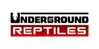 Underground Reptiles